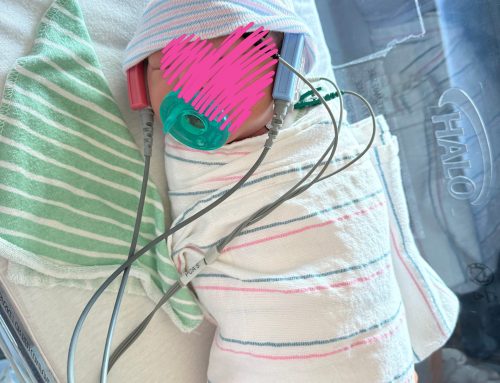 Healthy Baby Arrives Safely: Celebrating a Beautiful Surrogacy Success Story